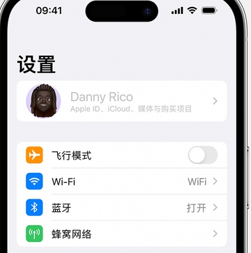 沙依巴克appleID维修服务iPhone设置中Apple ID显示为灰色无法使用