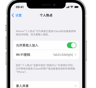 沙依巴克apple服务站点分享iPhone上个人热点丢失了怎么办 