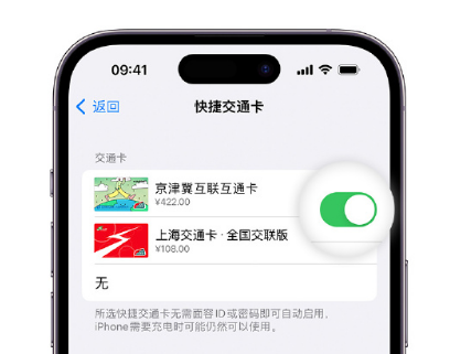 沙依巴克apple维修点分享iPhone上更换Apple Pay快捷交通卡手绘卡面 