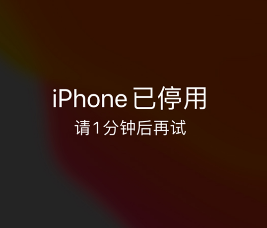 沙依巴克苹果手机维修分享:iPhone 显示“不可用”或“已停用”怎么办？还能保留数据吗？ 