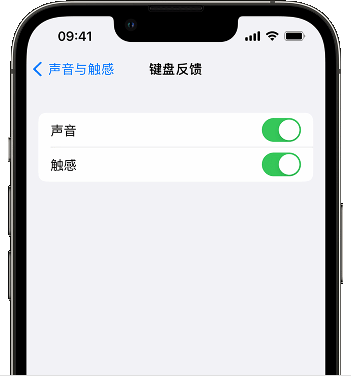 沙依巴克苹果14维修店分享如何在 iPhone 14 机型中使用触感键盘 