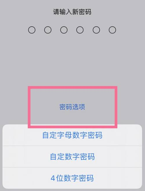 沙依巴克苹果14维修分享iPhone 14plus设置密码的方法 