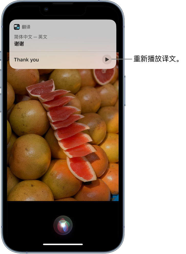 沙依巴克苹果14维修分享 iPhone 14 机型中使用 Siri：了解 Siri 能帮你做什么 