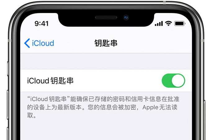 沙依巴克苹果手机维修分享在 iPhone 上开启 iCloud 钥匙串之后会储存哪些信息 