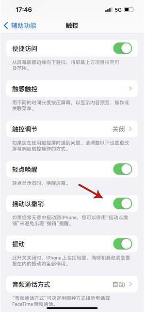 沙依巴克苹果手机维修分享iPhone手机如何设置摇一摇删除文字 